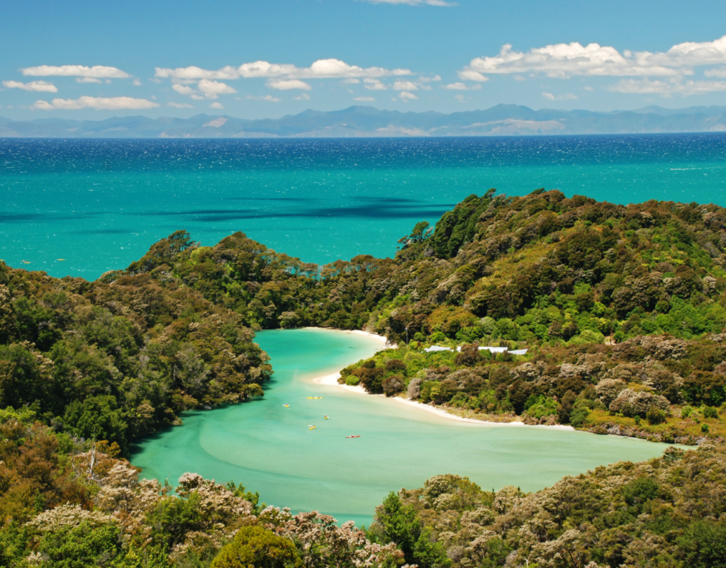 New Zealand Beach - AIP Visa Punakaiki Fund